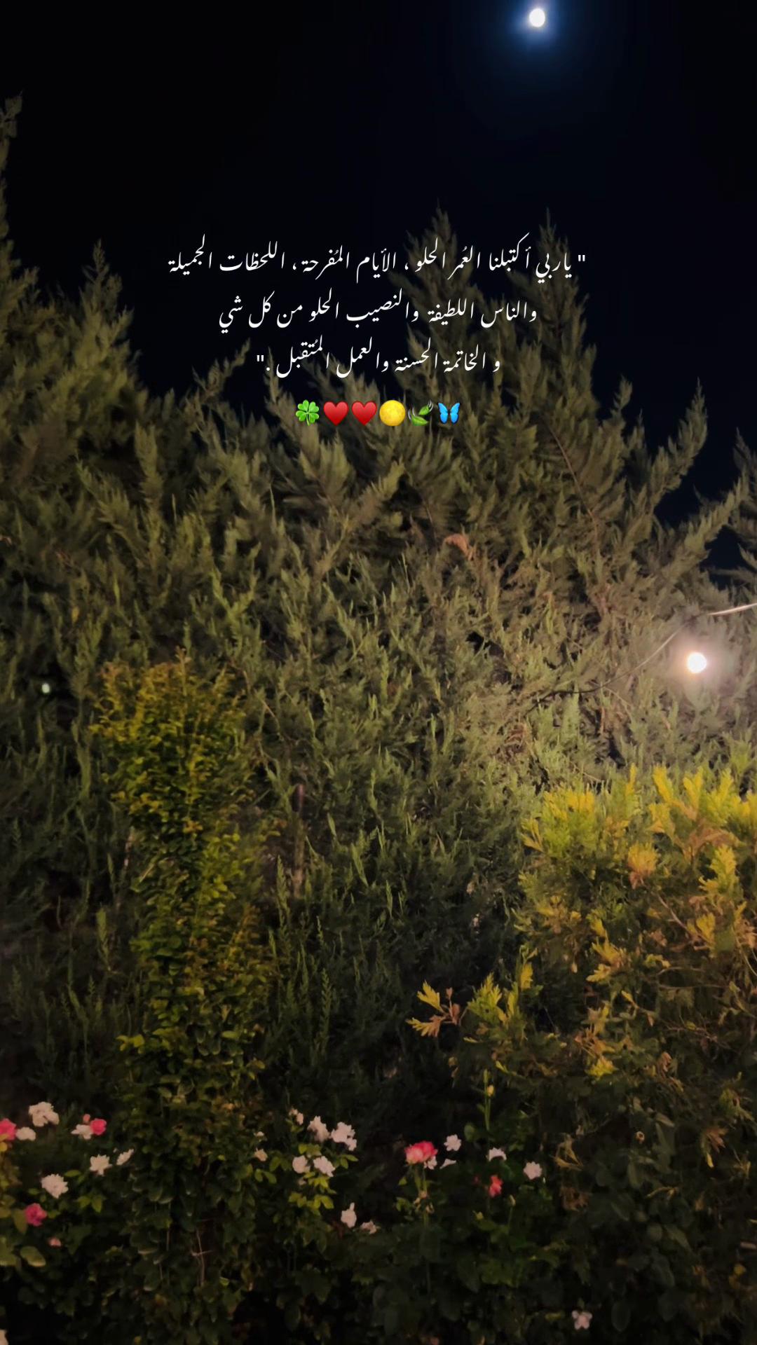 @Esraa Amoon🍓🌕