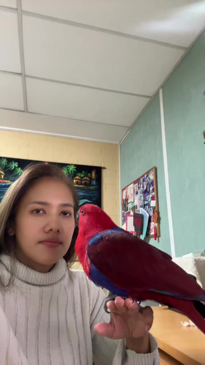@Female parrot🥰👫🦜