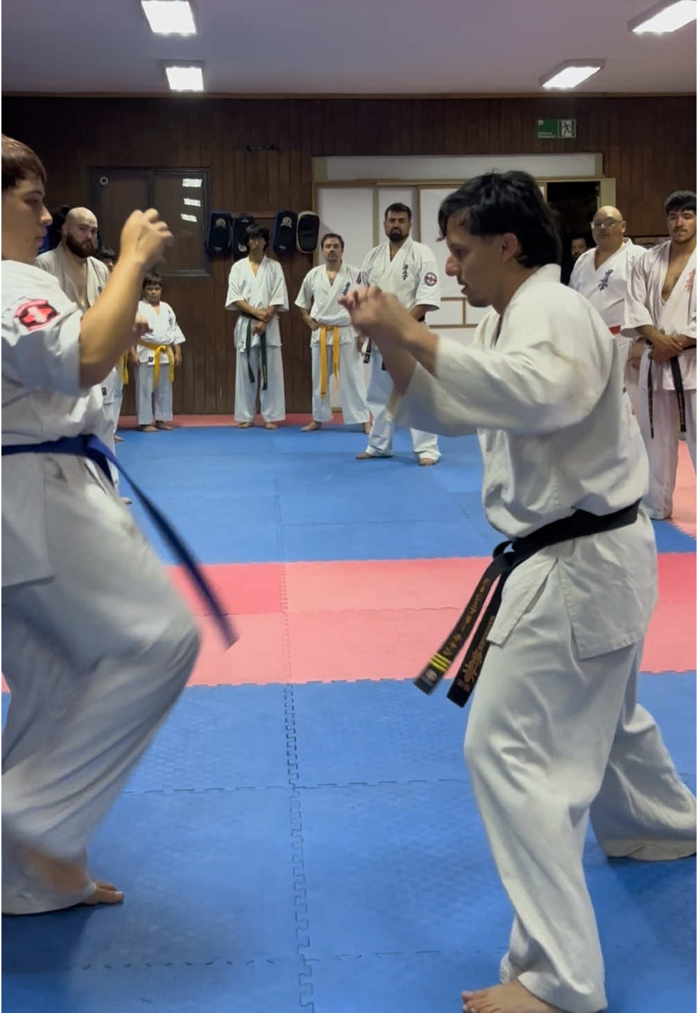 @chungdojo_cr