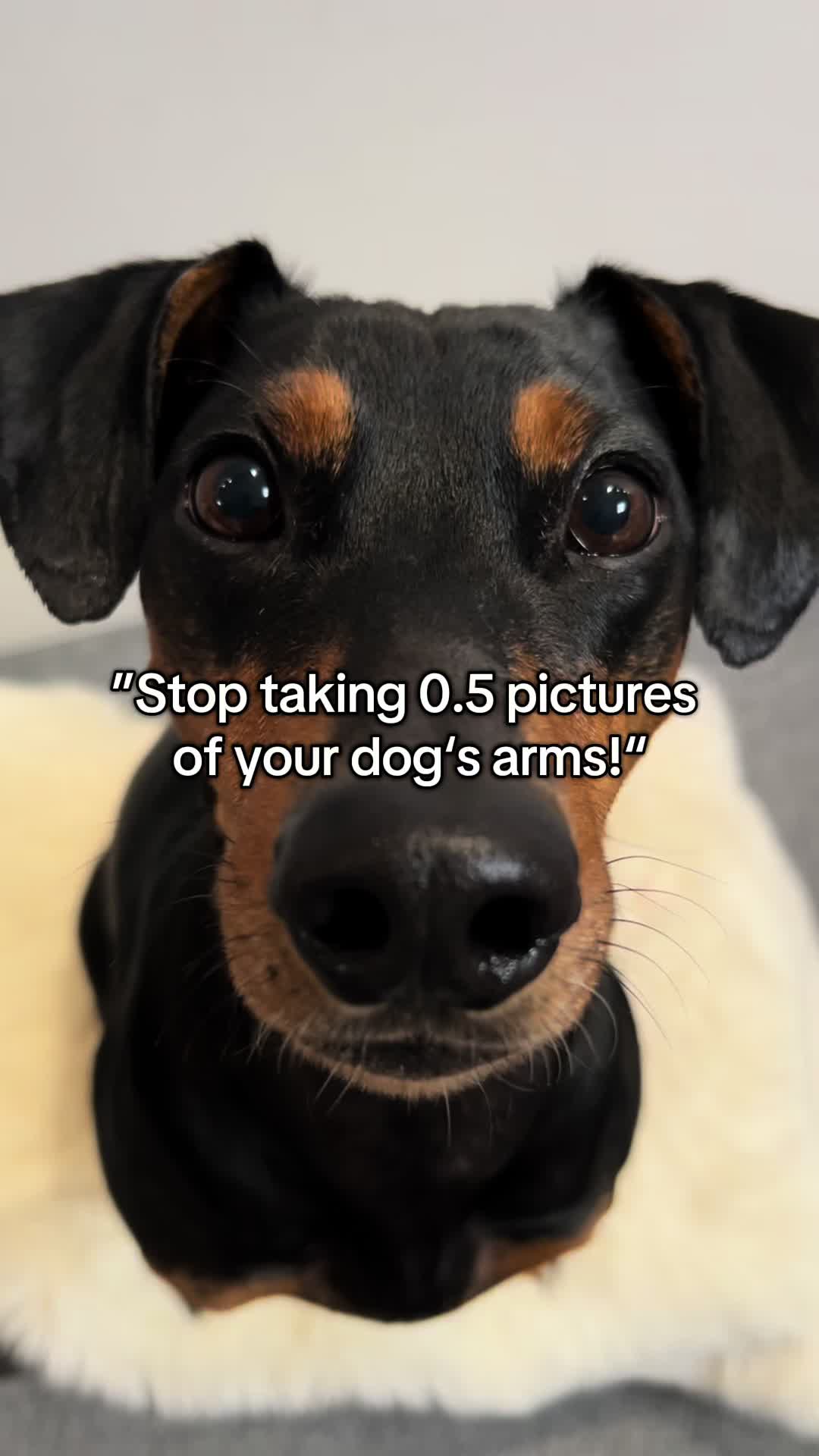 @AlvaTheHotDog