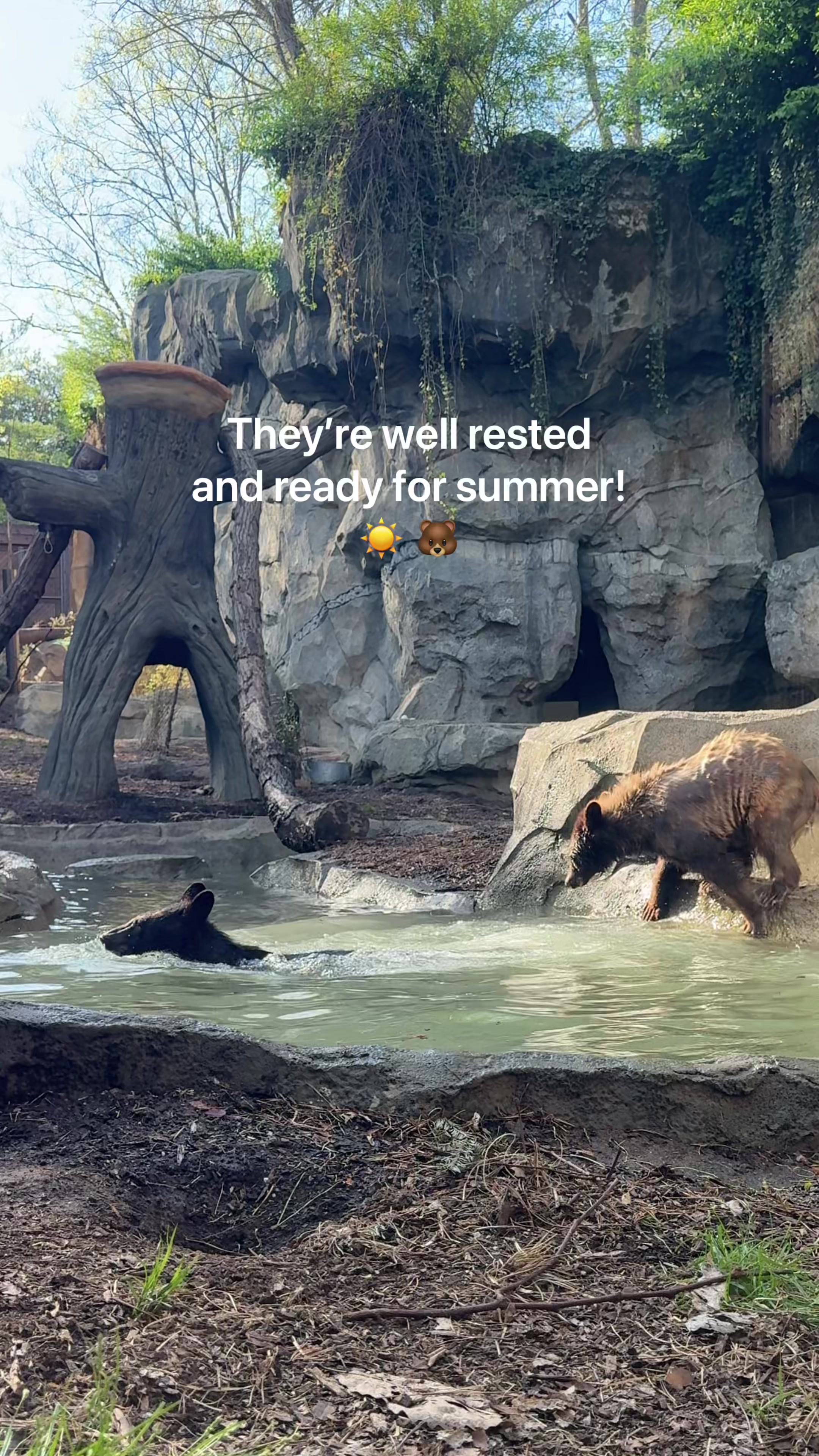 @Cincinnati Zoo