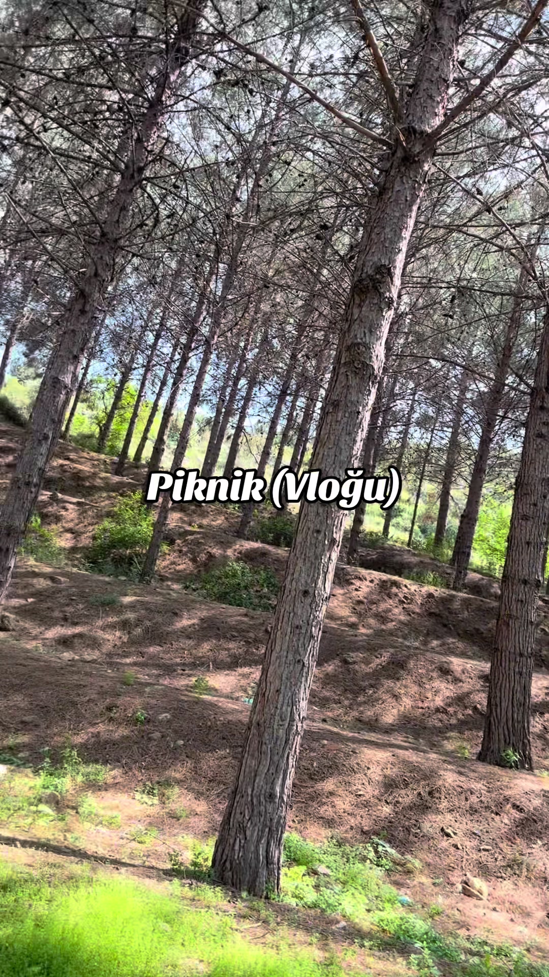 @Pınar Sedat Özateş