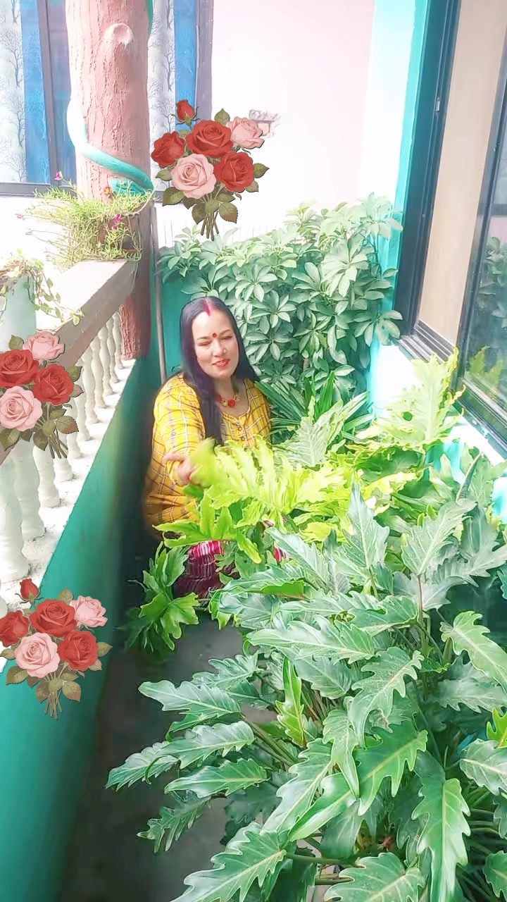 @Januka Karki
