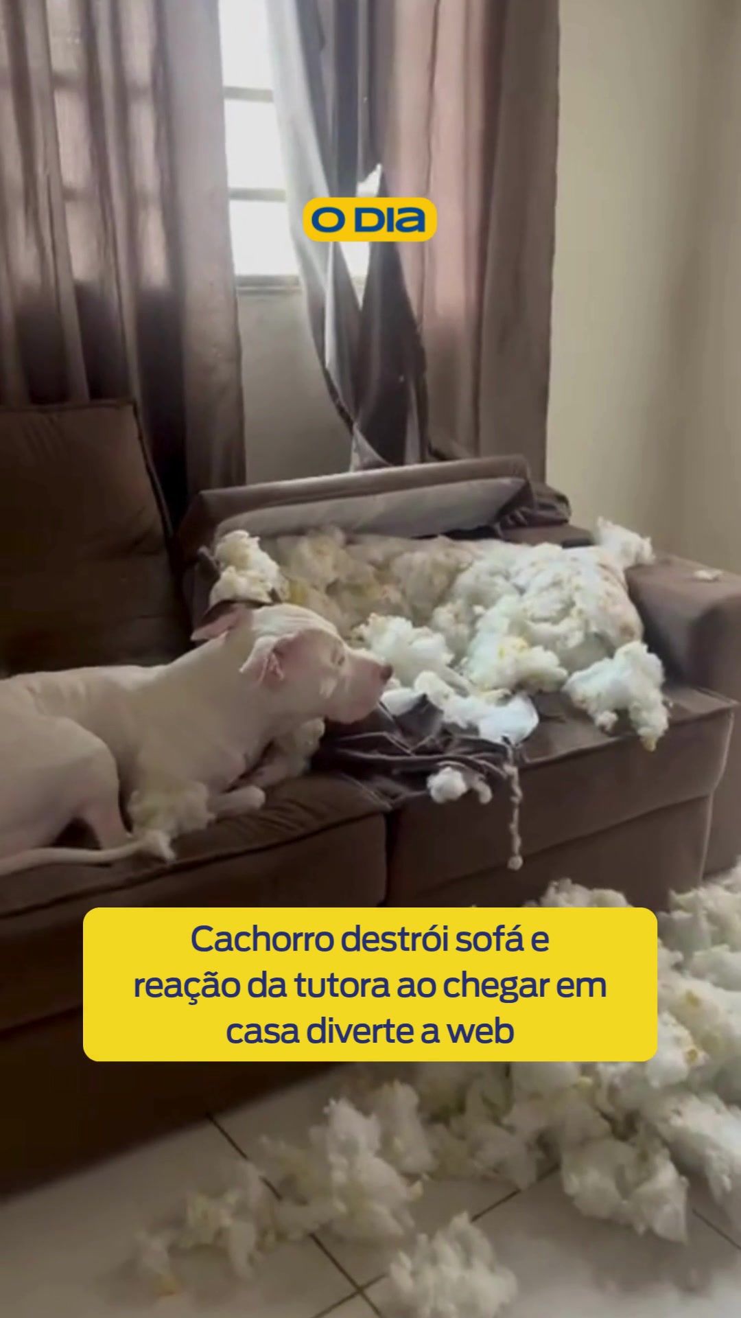 @Jornal O Dia