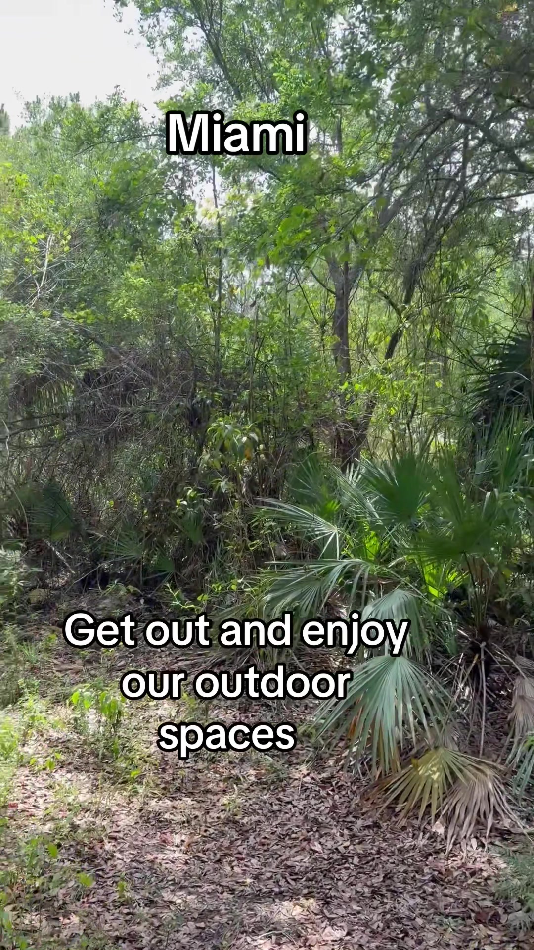 @Florida Land Guy