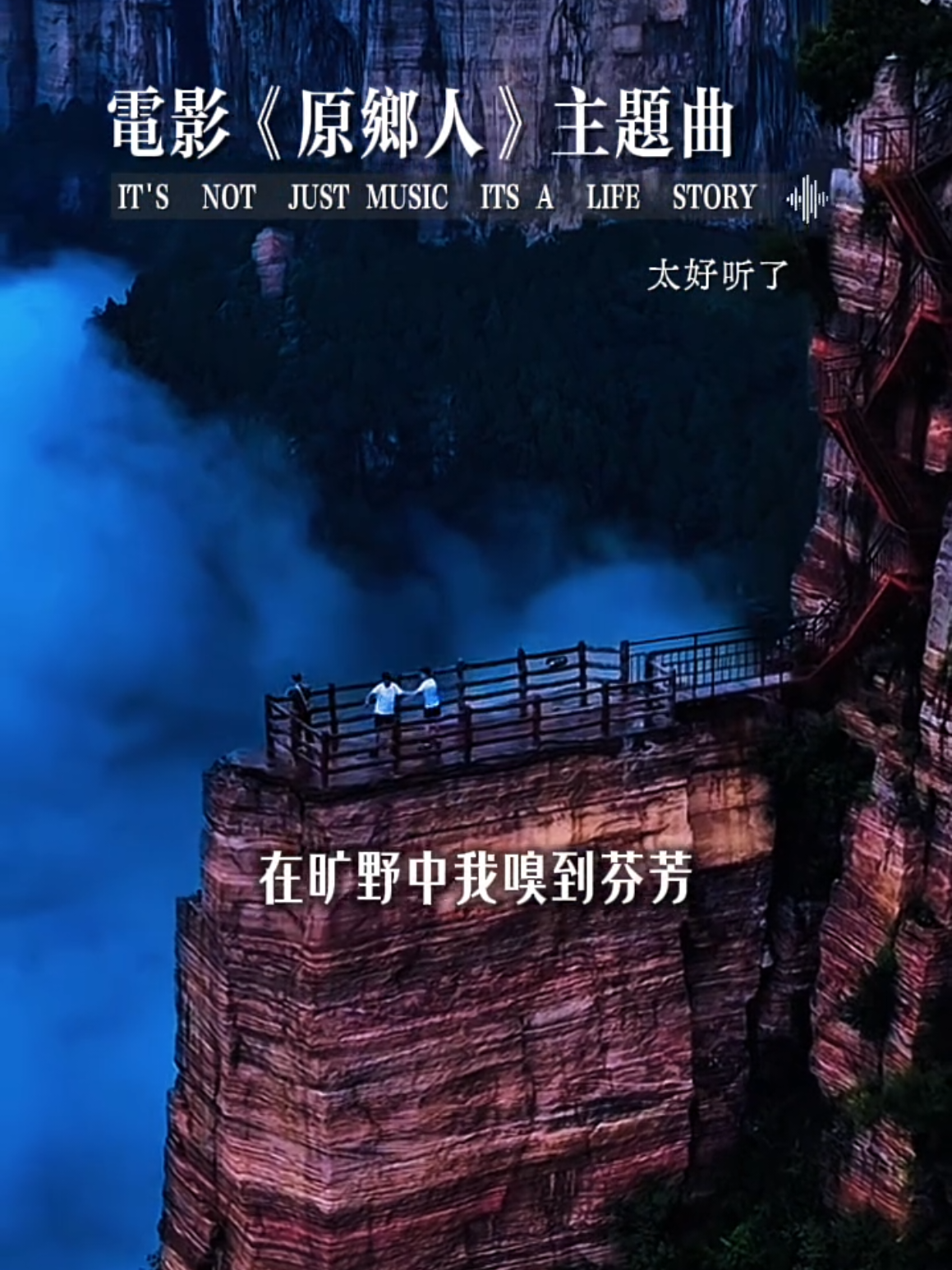@美丽的世界