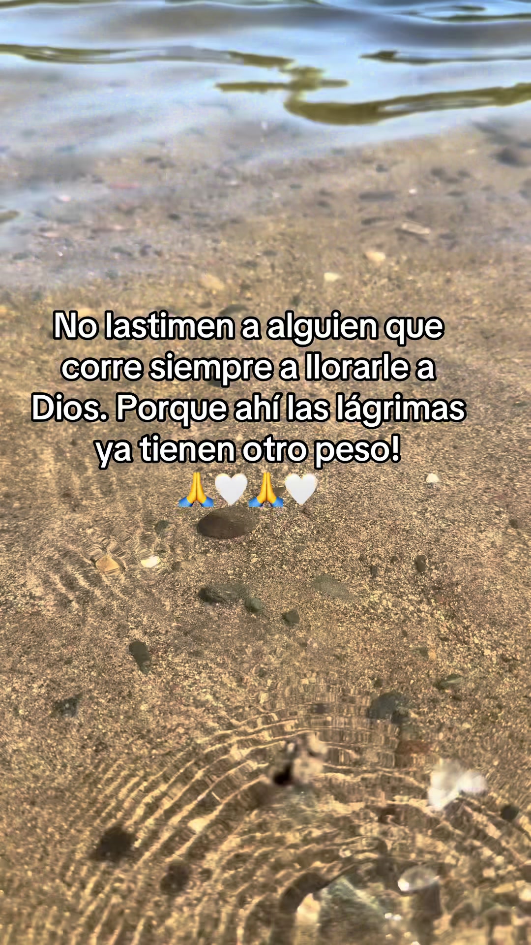 @Leticia Castanon