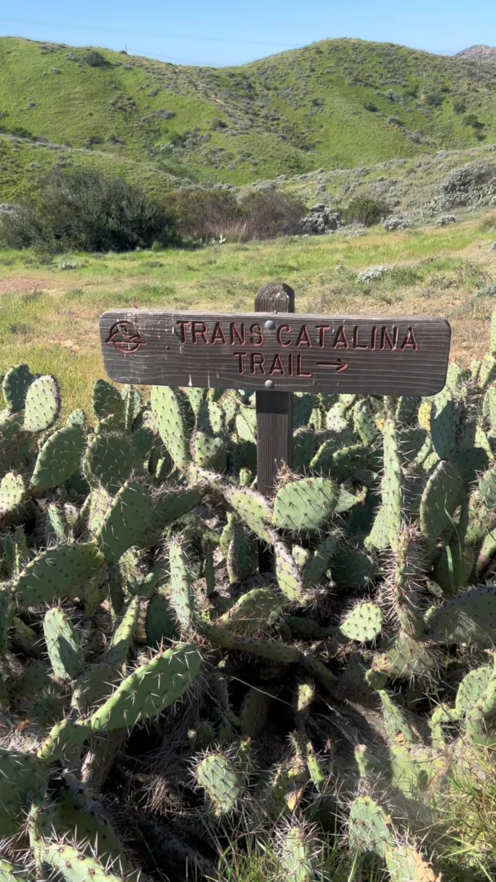 @User#5Outside🗺️