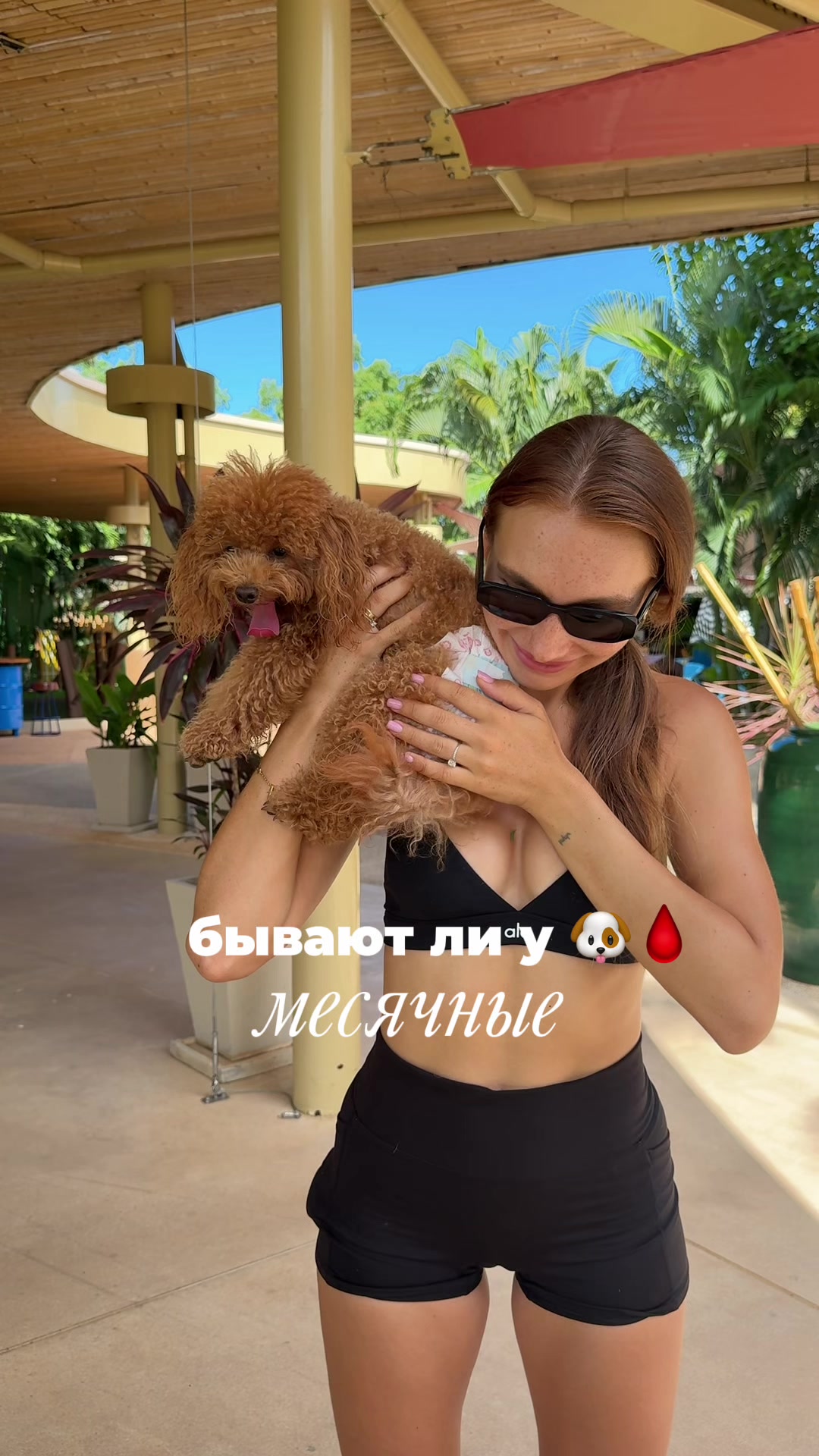 @beatrice_poodle