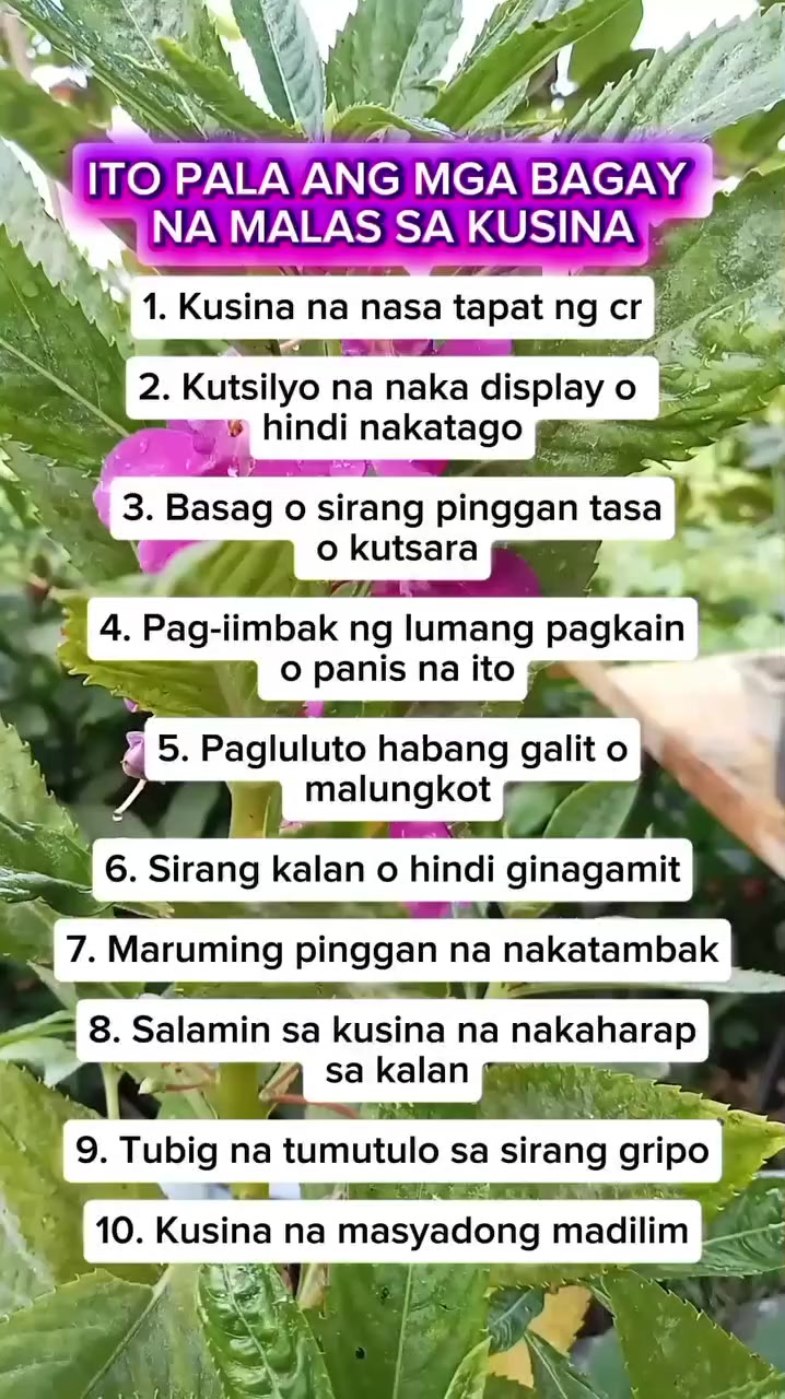 @🐝Tala Hives🐝