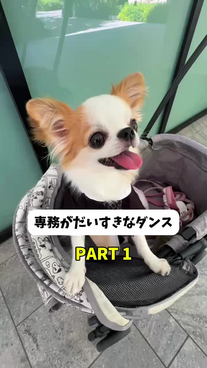 @🐶PET SHOP JAPAN🐶
