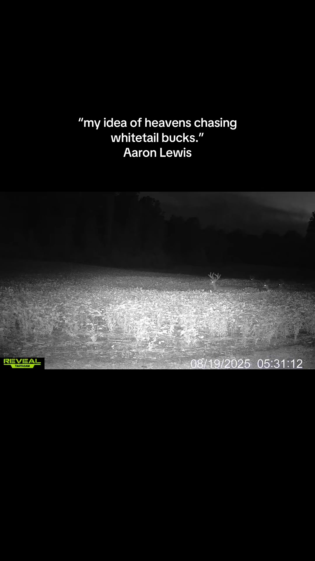 @Southeastern Outdoors