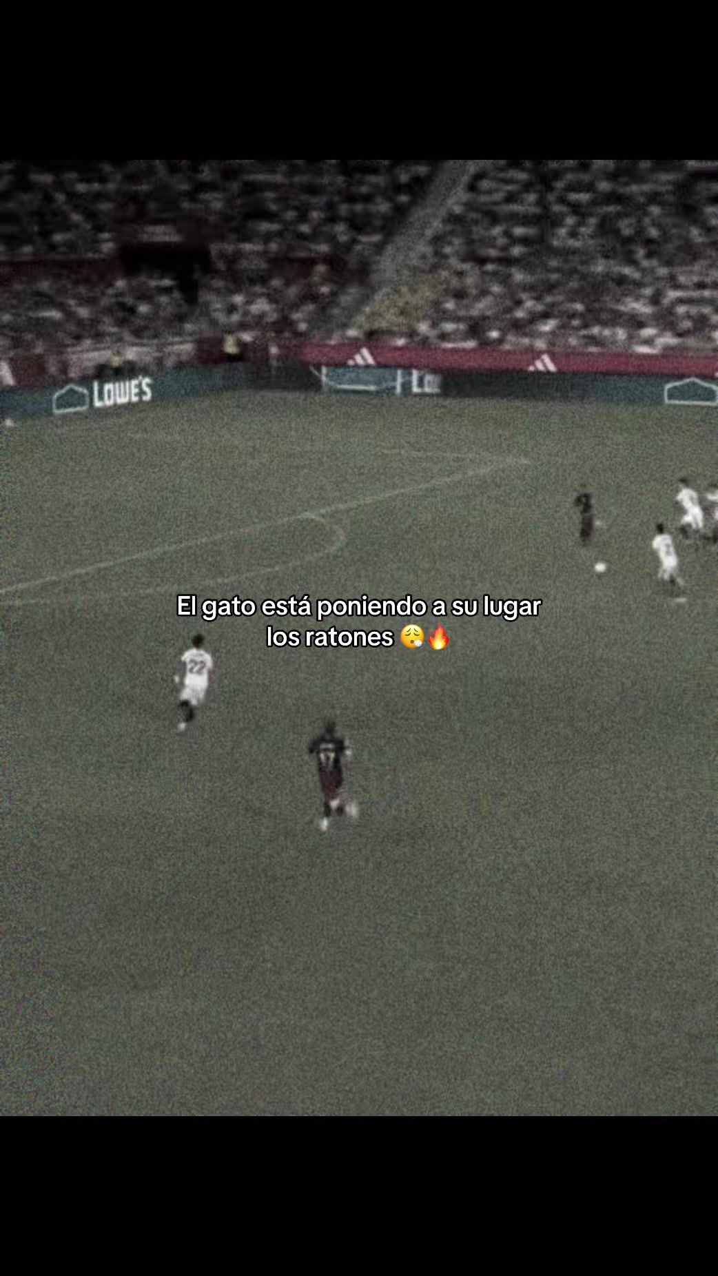 @mini fcb