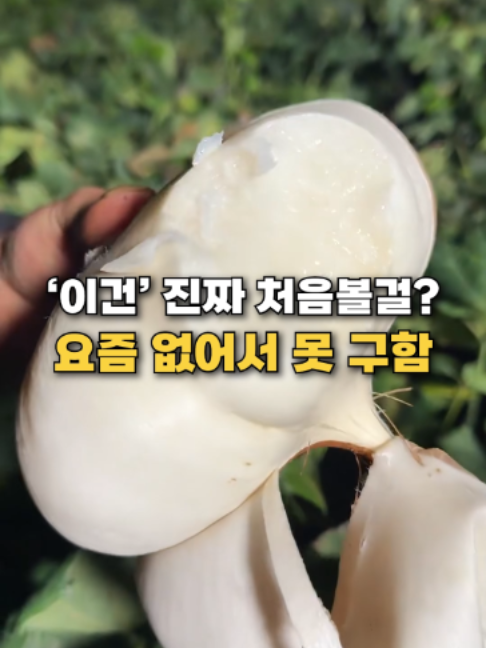 @๐ ์์ํ๋ฌ์ค
