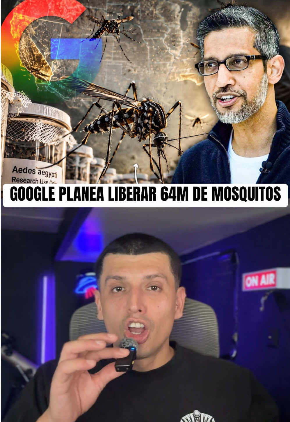 @NUEVO MILENIO