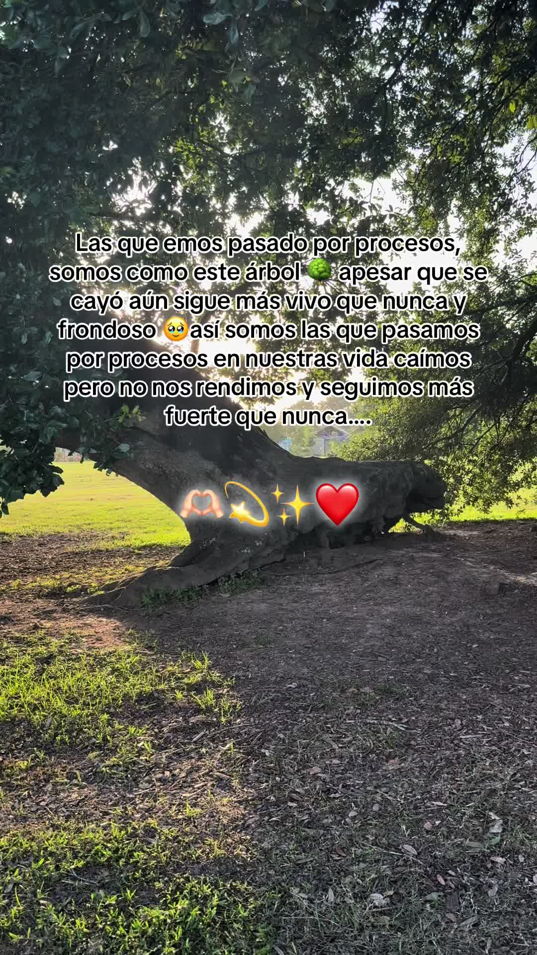 @marisolreyes1118