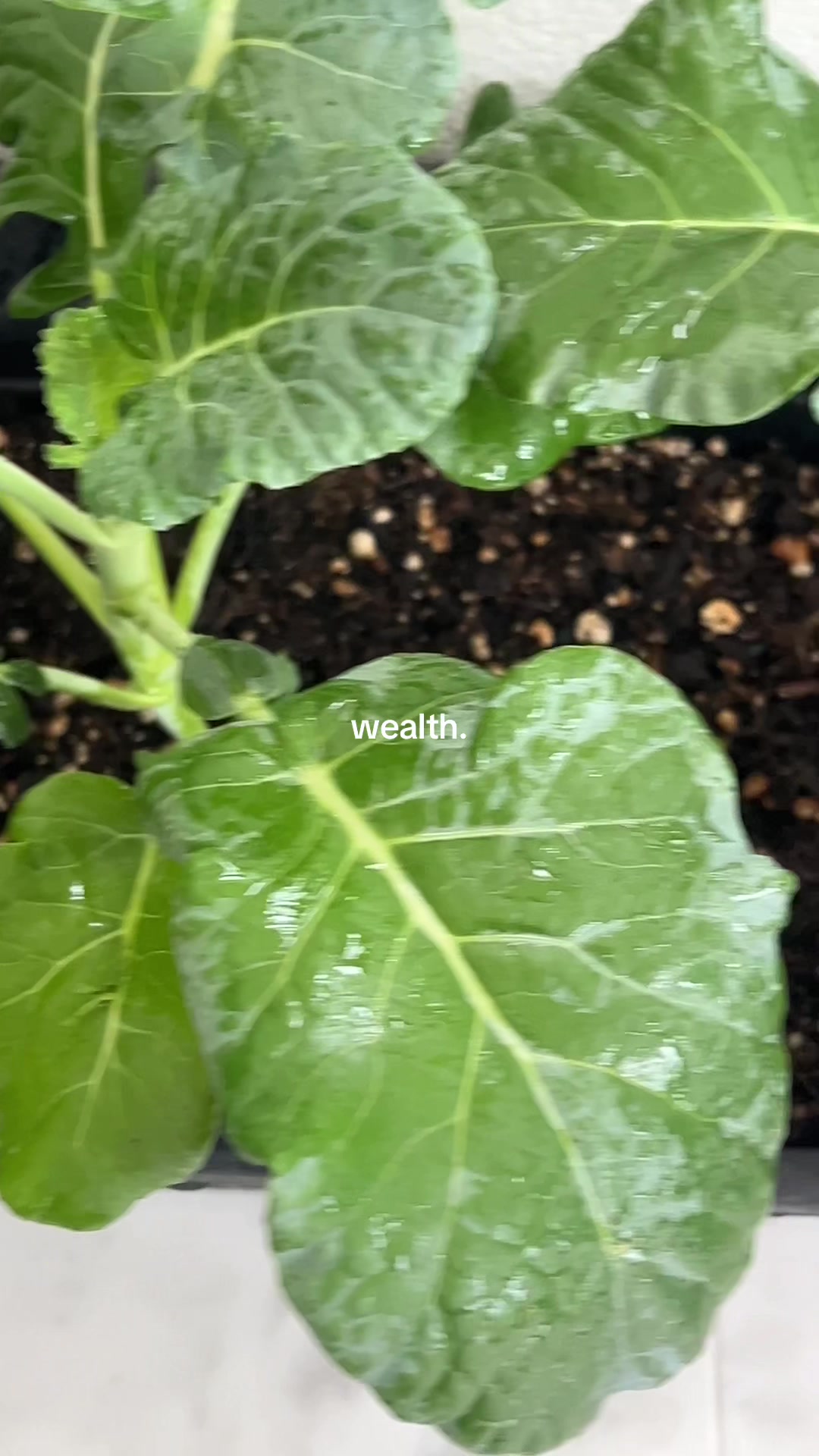 @Mel