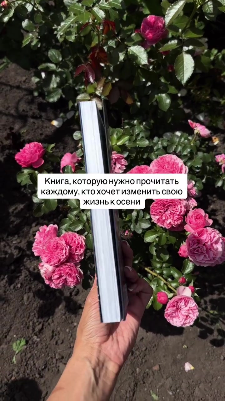 @Книги