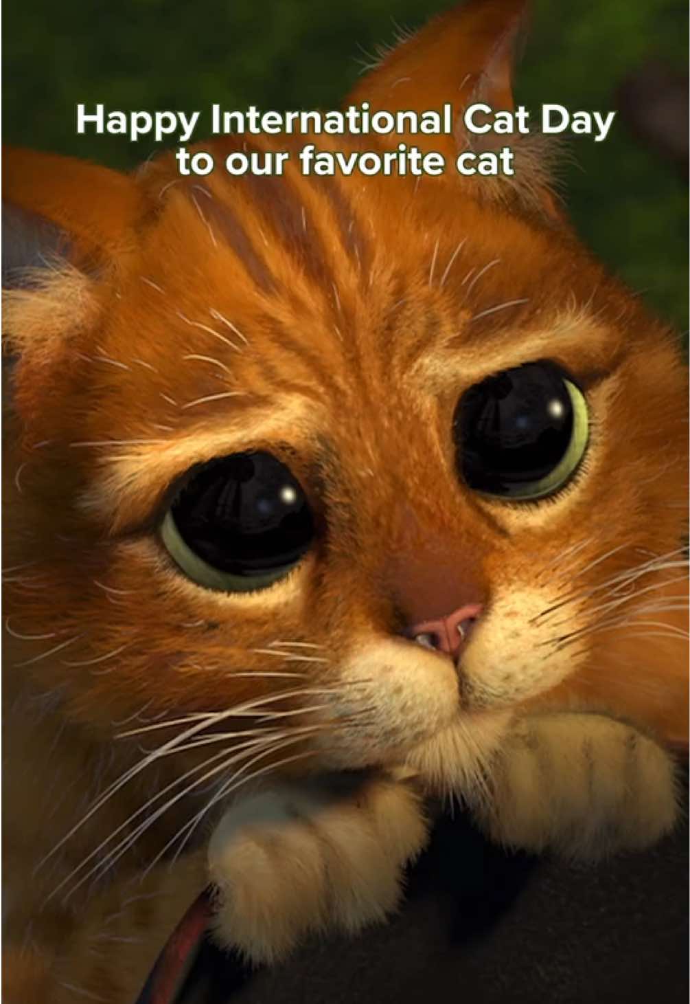 @Shrek