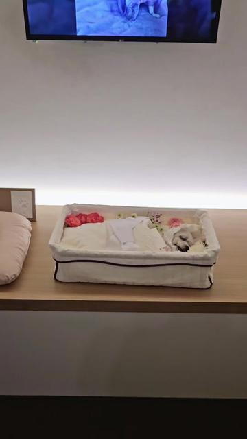 @아콩맘♡