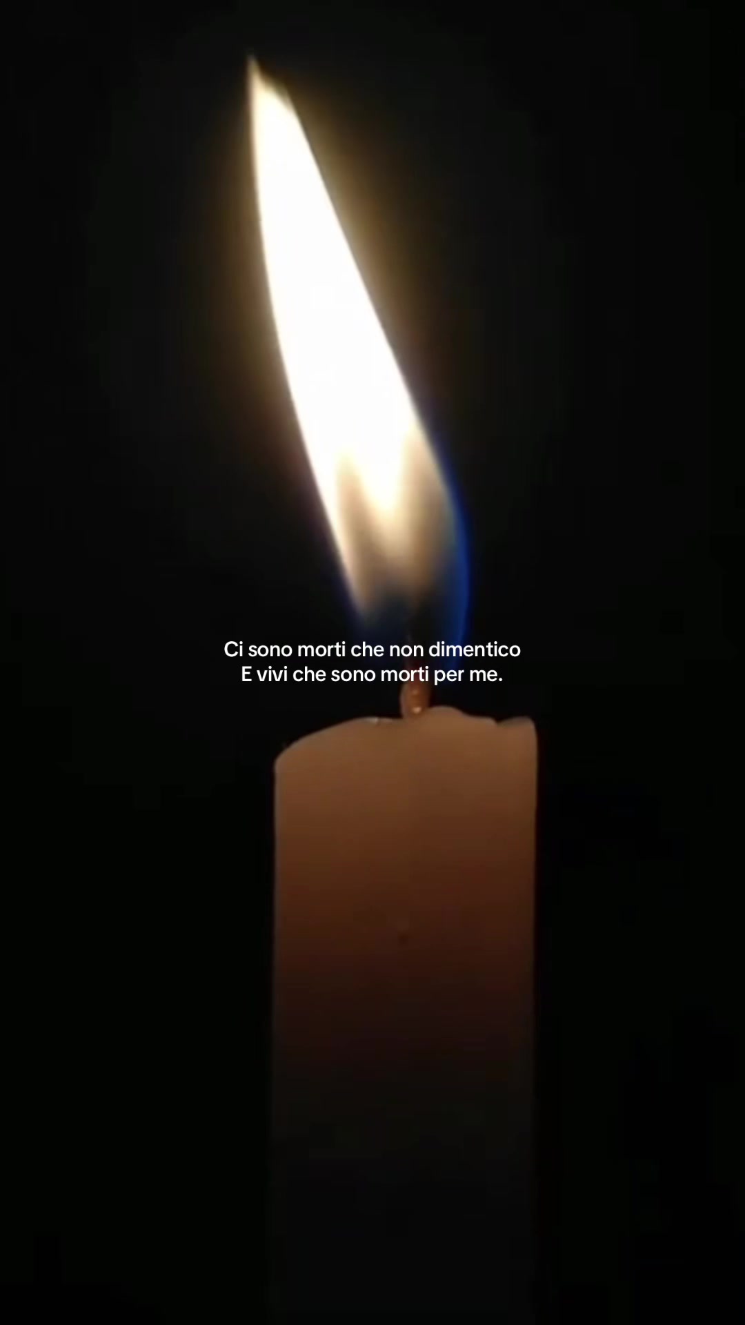 @(✿◠‿◠)