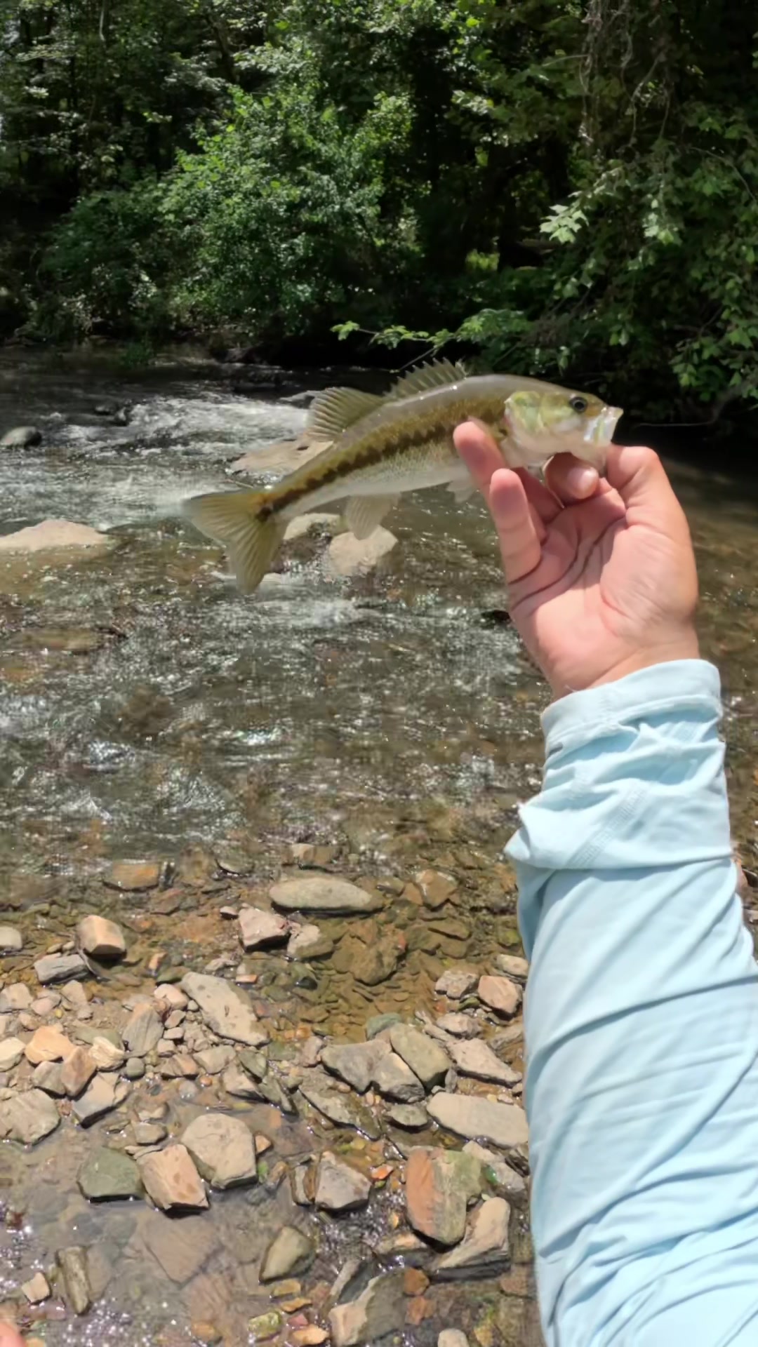 @Creek Seeker Outdoors