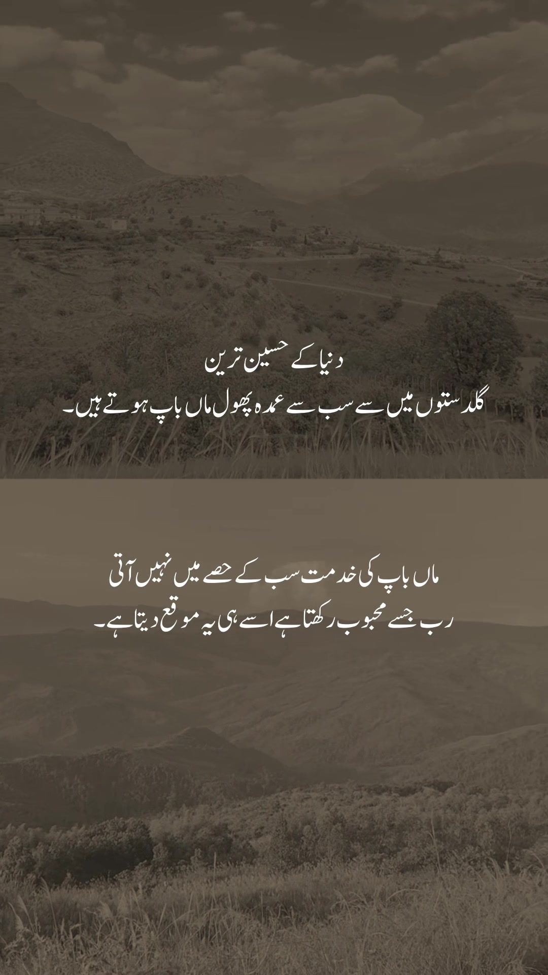 @𓆩شیراز𓆪