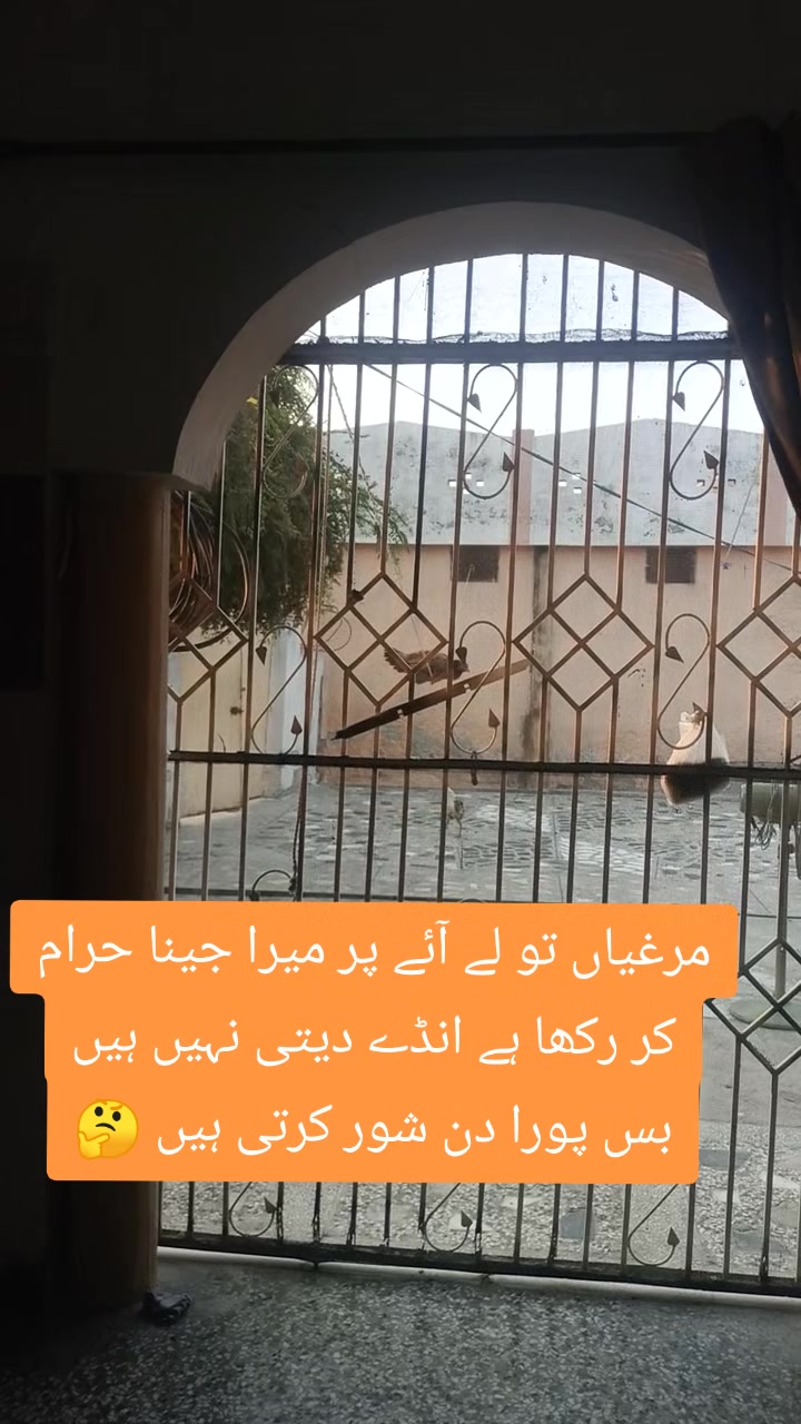 @اقصٰی awan🌹