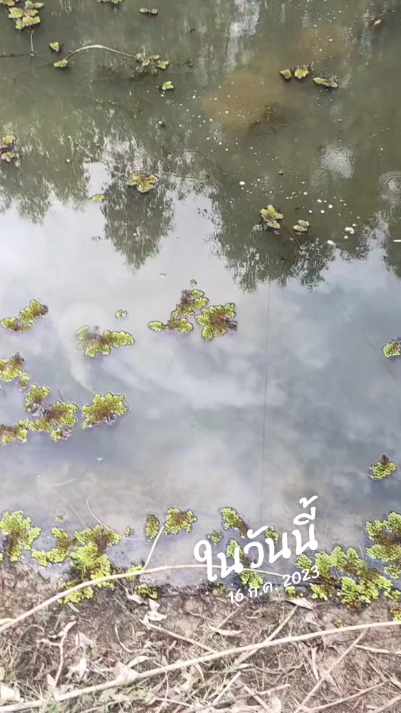 @วัยรุ่นหลังคาเหล็ก👨👩👧👧