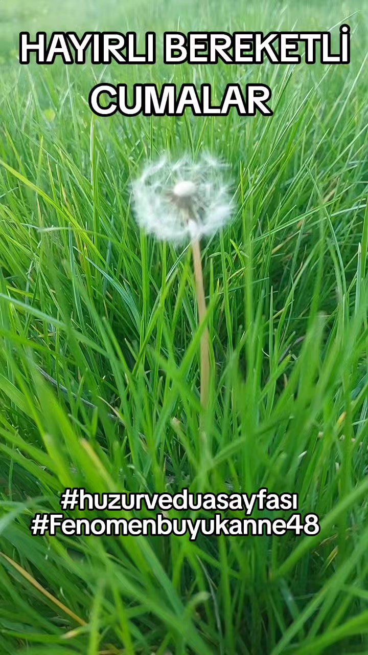 @Fenomenbuyukanne48