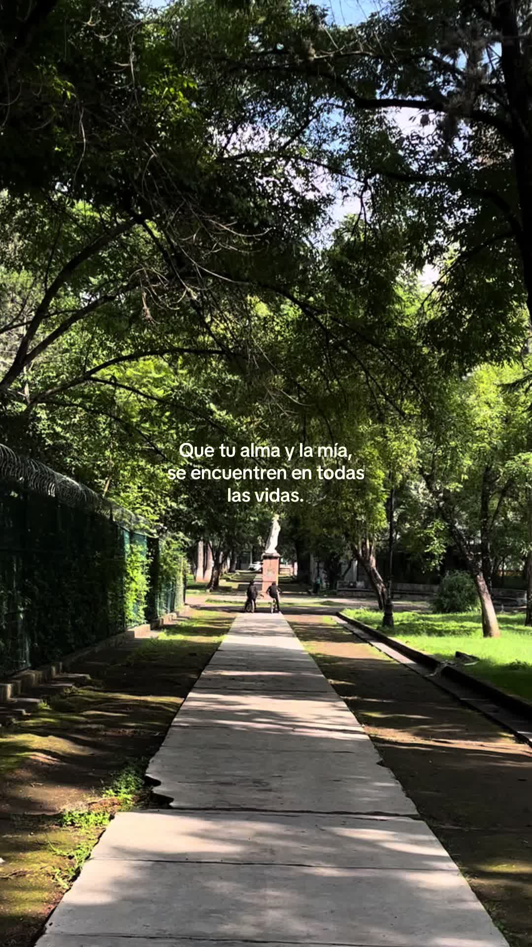@elartedenotarlo