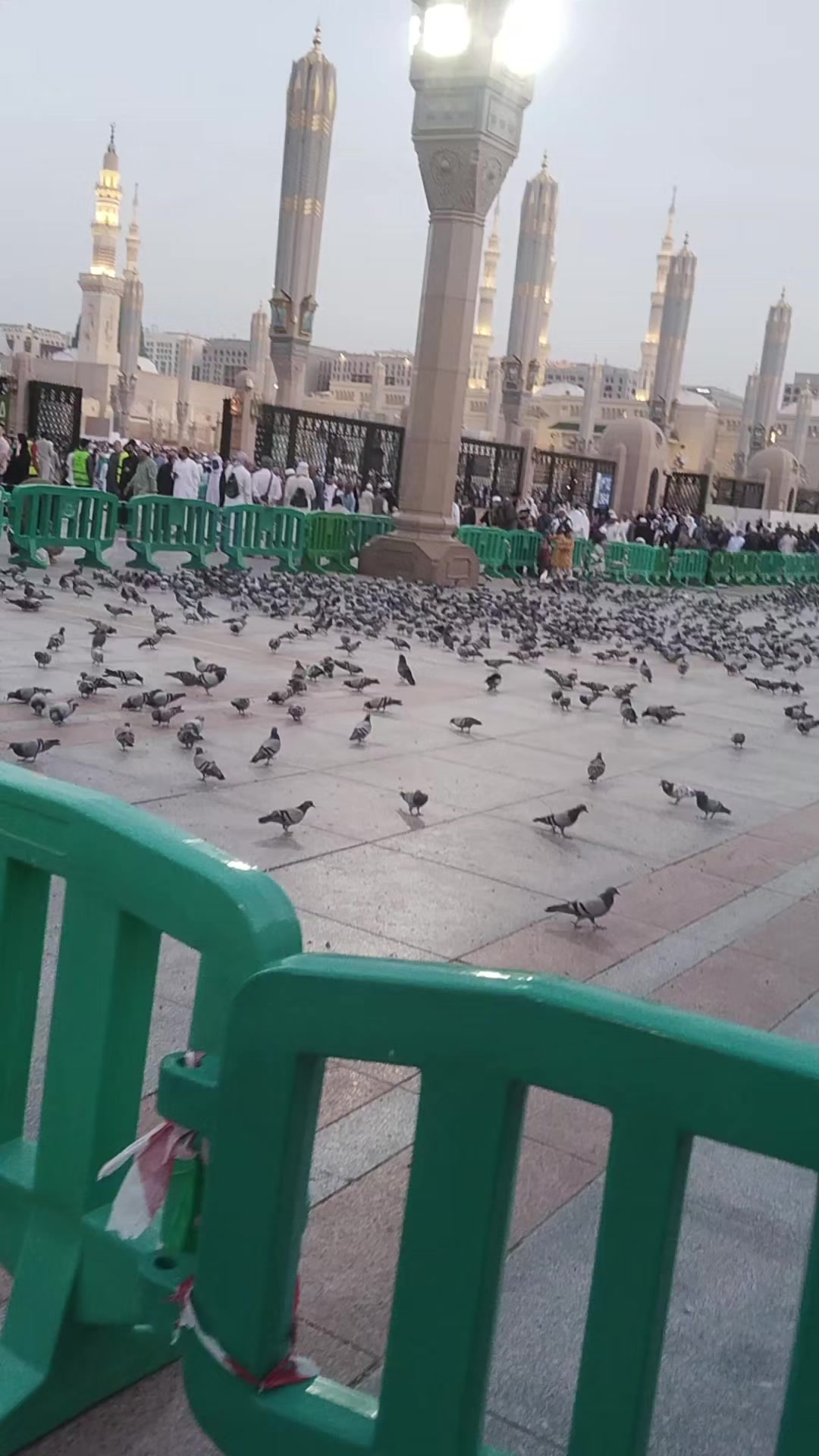 @kin💪💪🇵🇰🇸🇦🇸🇦 گوندل