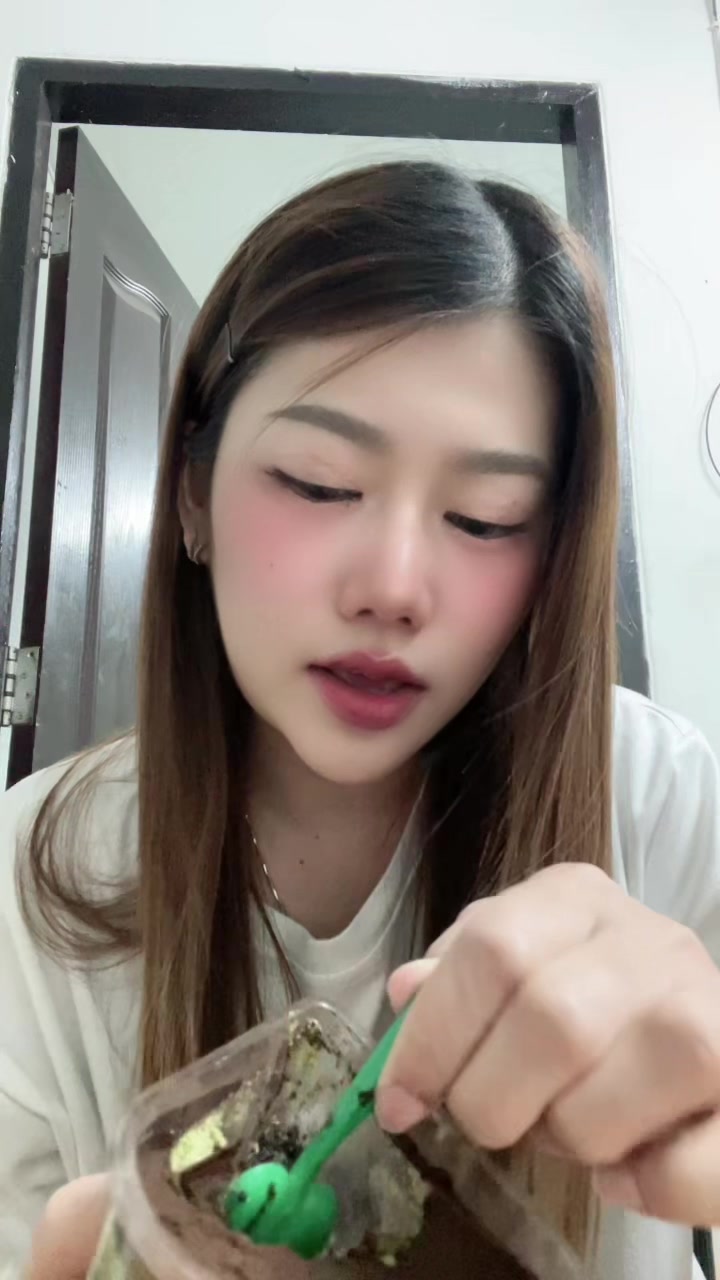 @Cmay รีวิว☁️🐰