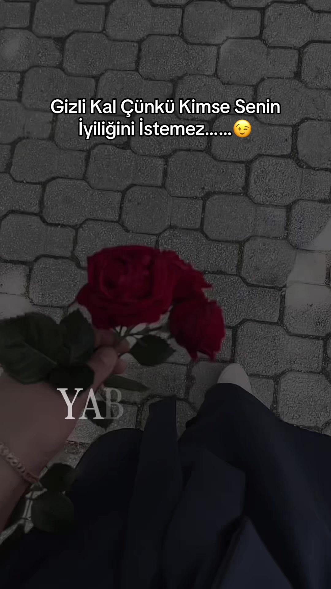 @gul.4201