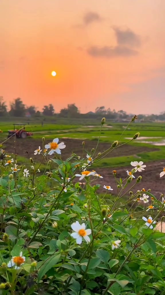 @Bebina Adhikari