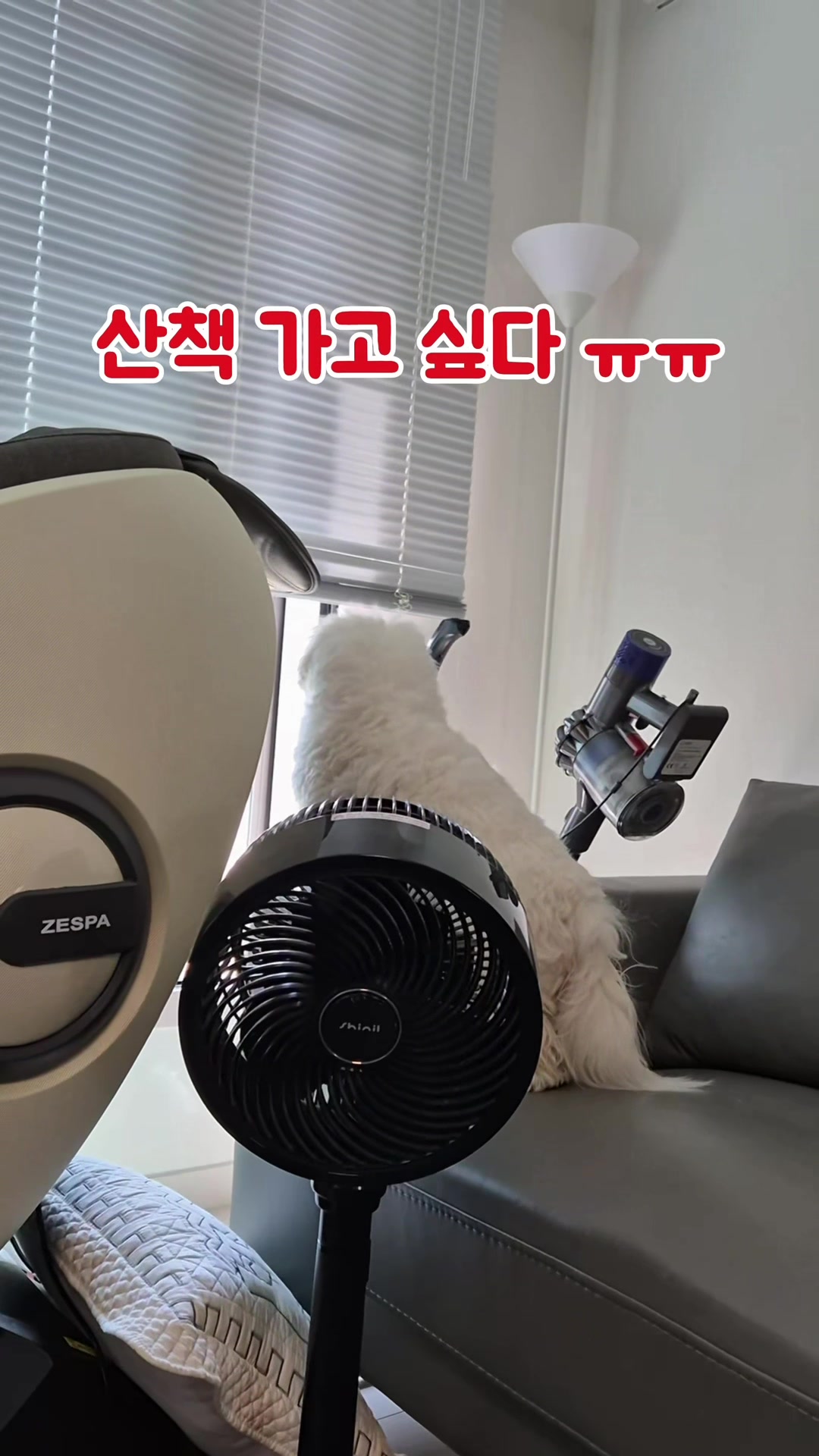 @꼬똥로리