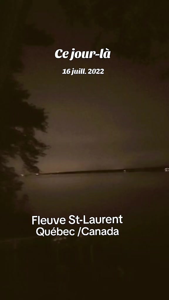 @PETITE FLEUR 008