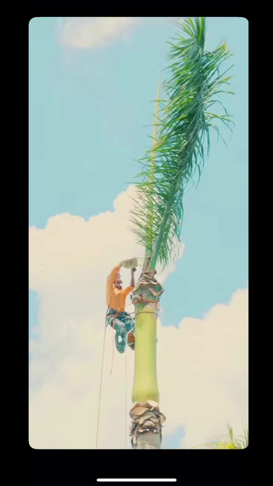 @Oziel🌴🔥