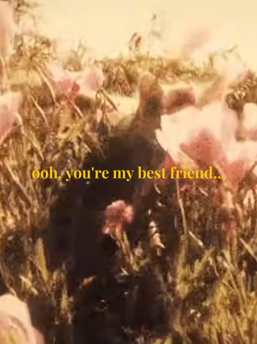 @𝘚𝘩𝘢𝘯𝘥𝘪 #r0yaDy