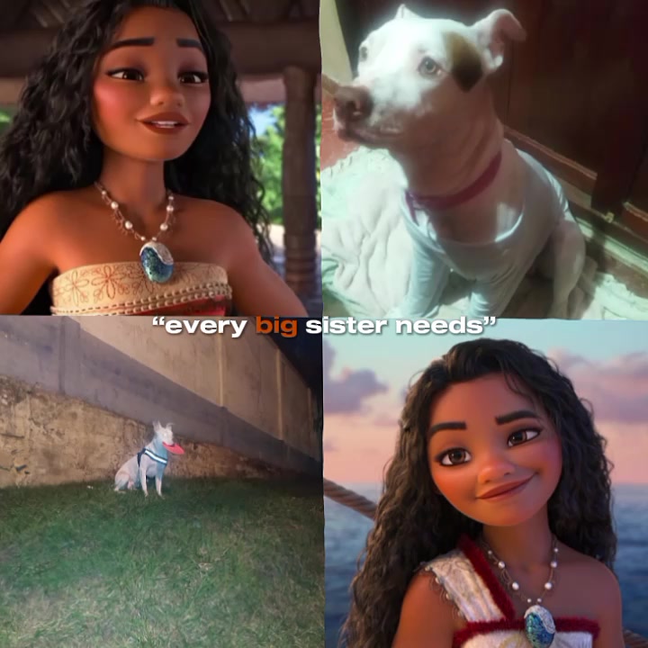 @Kira. com