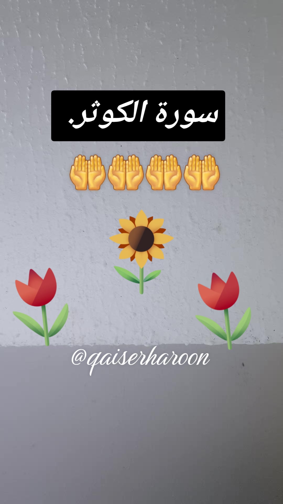 @꧁༺Qäιṩǝʀ Ⱨäʀὄὄń༻꧂