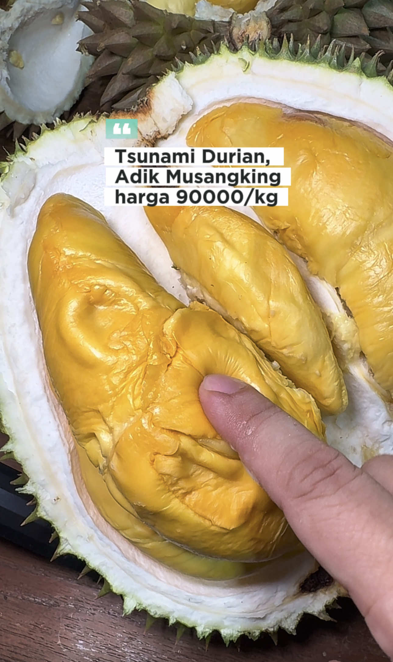 @Suherman Sun