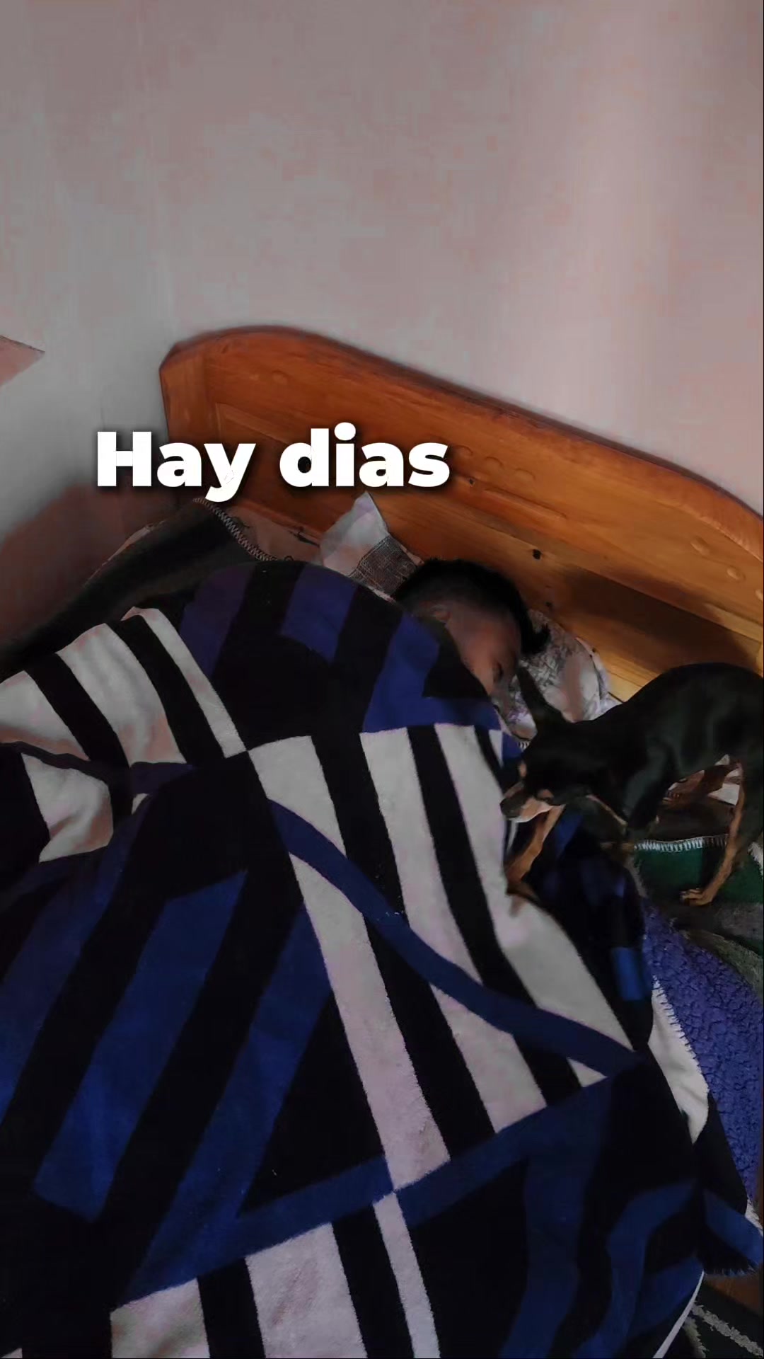 @Carlos Alanoca