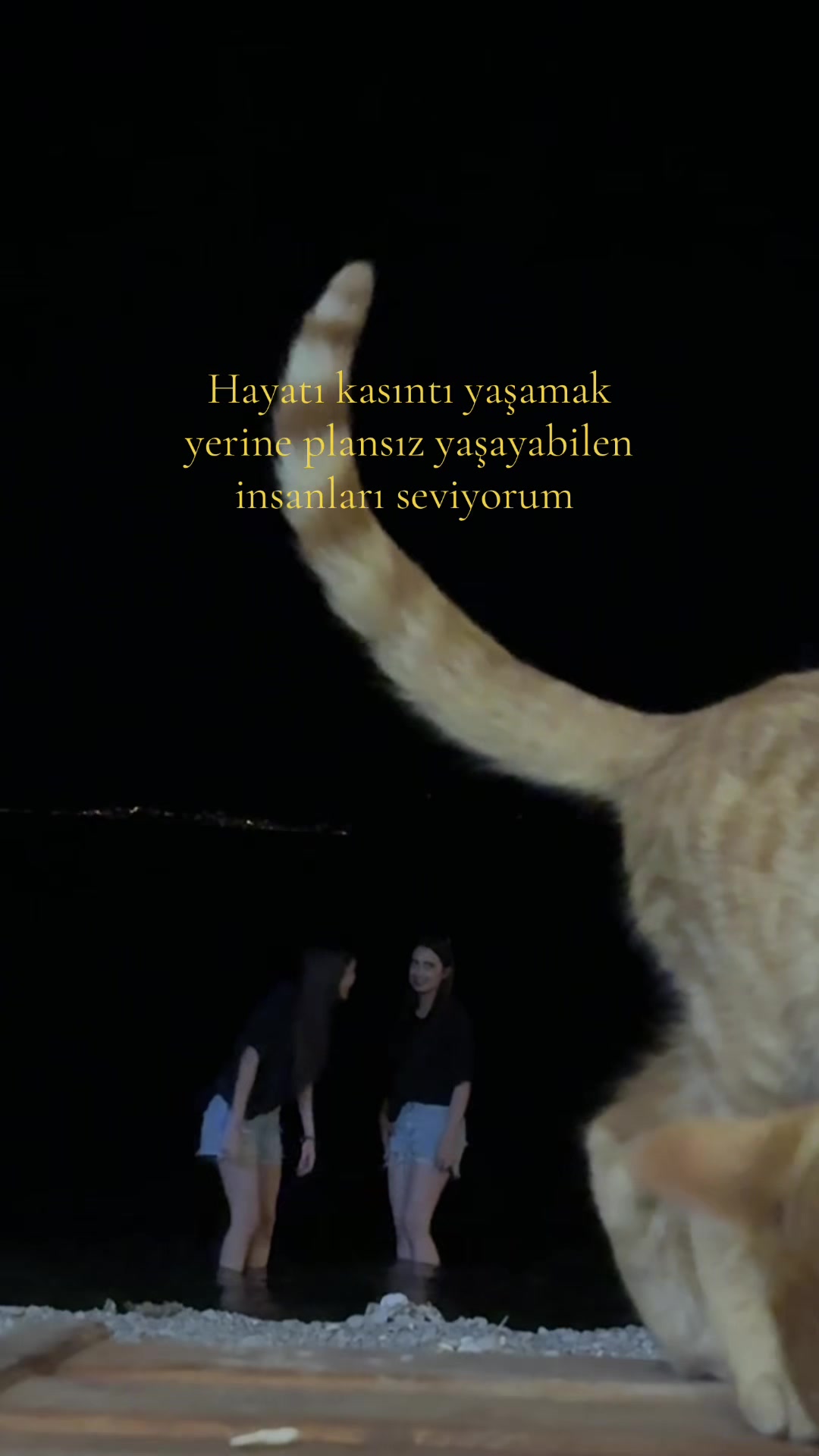 @Yağmur