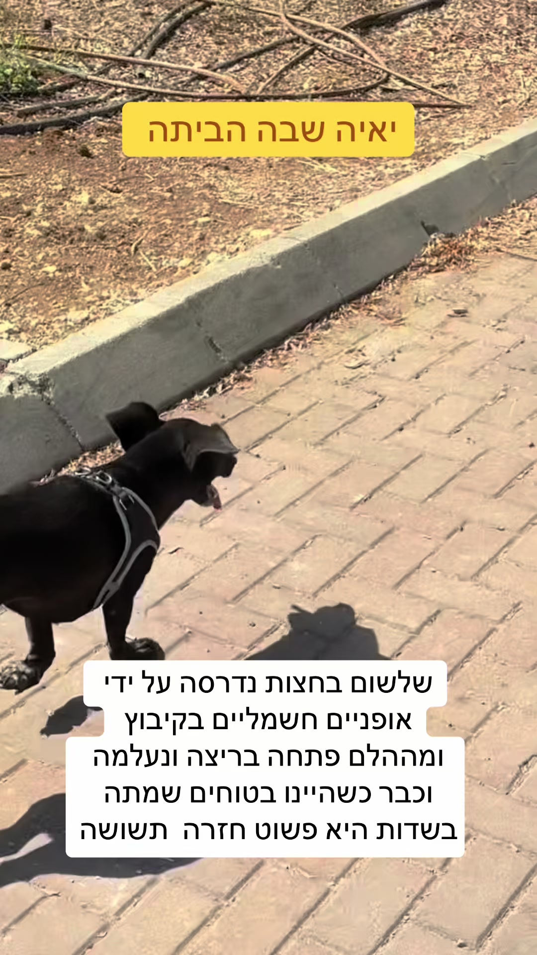 @המורה לשל"ח - הרצאות חינוך
