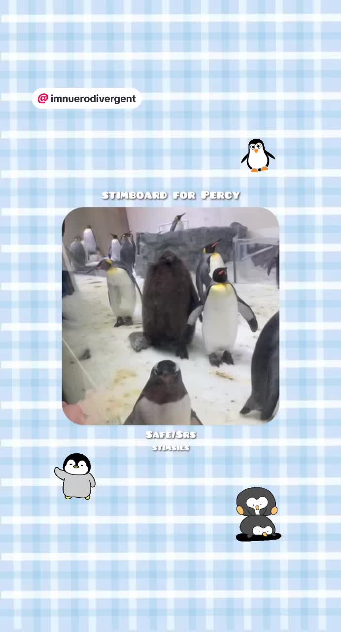 @♡︎ stimsies ♡︎