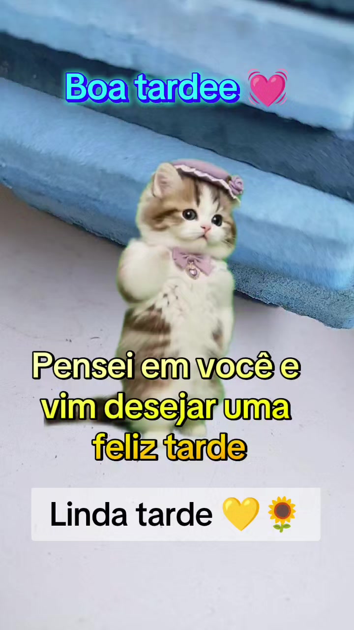 @girassol🌻
