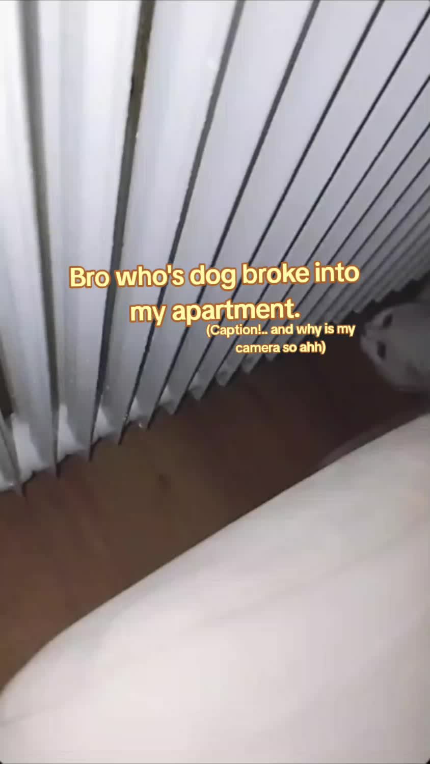 @𝙕𝙀𝙍𝙊🫧