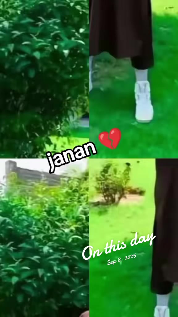 @MUSA KPK KING 👑 804
