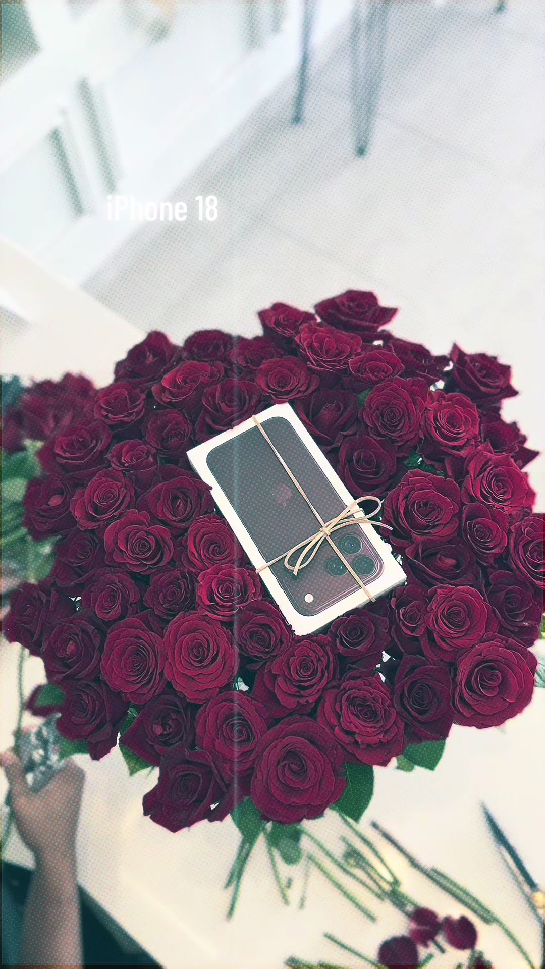 @° •ᗰ𝘦𝕙𝘦ᖙĺ.𝐇ᾰ𝙨ᾰท• 